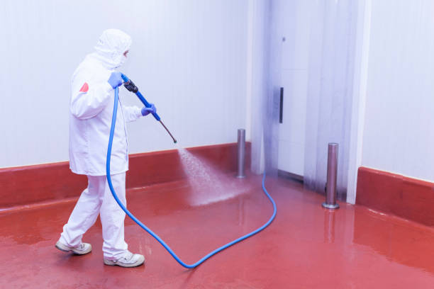 Best Roof Washing  in Argyle, TX
