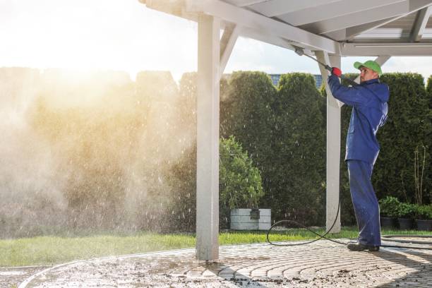 Best Sidewalk and Walkway Cleaning  in Argyle, TX